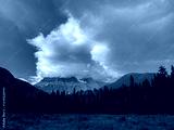 preview cold