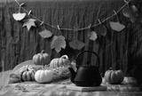 preview bw