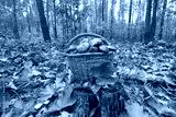 preview cold