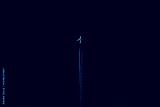 preview cold