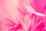 preview original