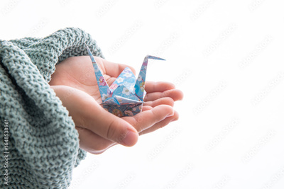 image to crop