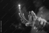 preview bw