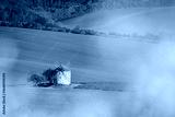 preview cold
