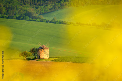 image to crop