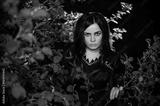 preview bw