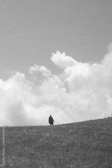 preview bw