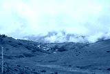 preview cold