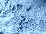 preview cold