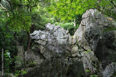 image to crop