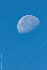 preview original