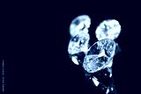 preview cold