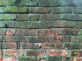 preview original