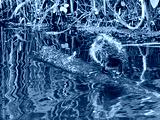 preview cold