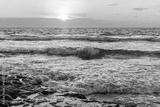 preview bw