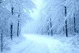 preview cold