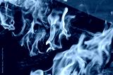 preview cold