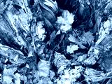 preview cold