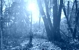 preview cold