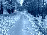 preview cold