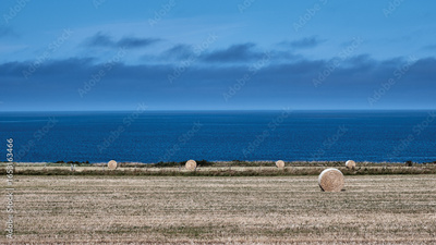 image to crop