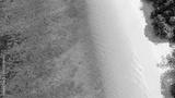 preview bw