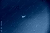 preview cold
