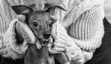 preview bw