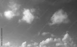 preview bw