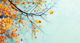 preview original