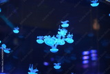 preview original