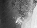 preview bw