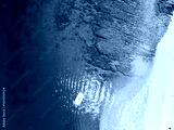 preview cold
