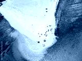 preview cold