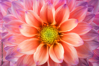 image to crop