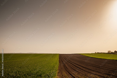 image to crop