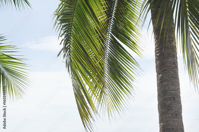 image to crop
