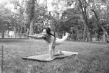preview bw
