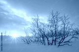 preview cold