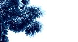 preview cold