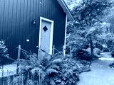 preview cold