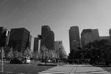 preview bw
