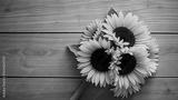 preview bw