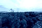 preview cold