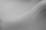 preview bw