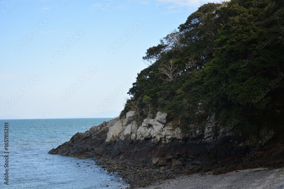 image to crop