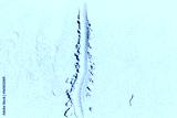 preview cold