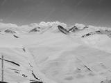 preview bw