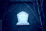 preview cold