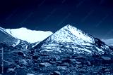 preview cold